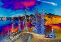 12-Crater-Lake-Trees