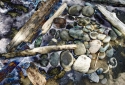 23-Rocks-and-Driftwood