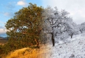 24-Change-Of-Seasons-1