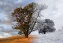 25-Change-Of-Seasons-2