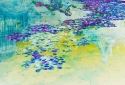 4-Lotus-Pond