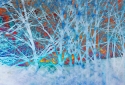 5-Winter-Trees
