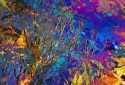 6-Tree-Batik