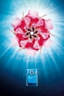 25-Escada-ad
