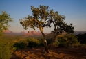13-Sedona-Sunset