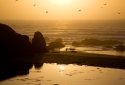 16-Fort-Bragg-Beach-Sunset