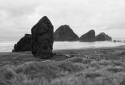 23-Oregon-Beach