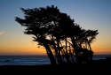 24-Sunset-Beach-Trees