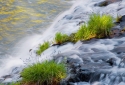 9-Flowerfalls